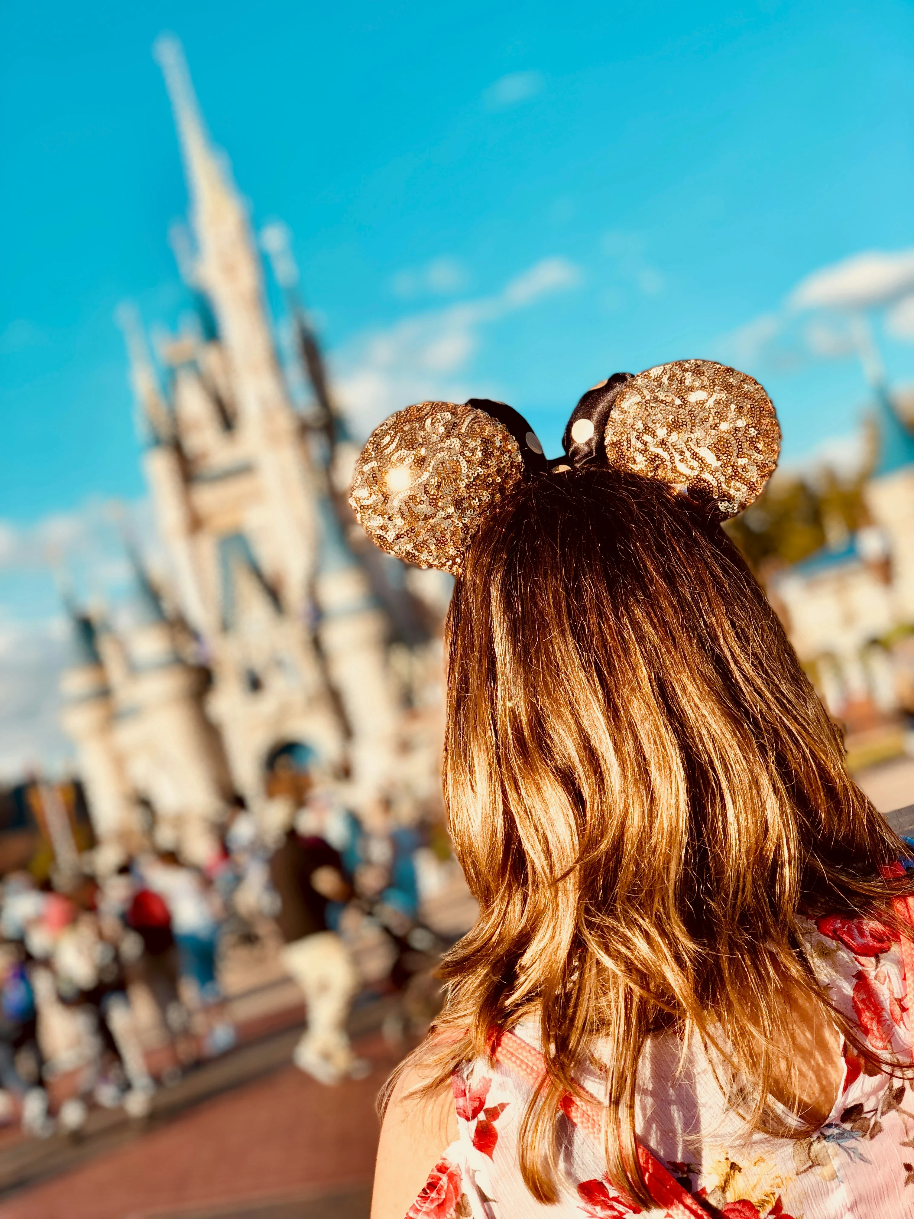 Welcome to DVC Destinations: A New Way to Experience Disney